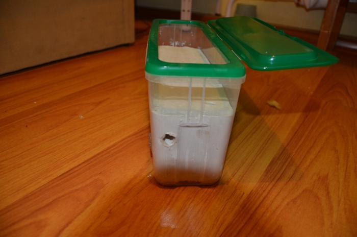 выход на арену